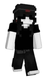 JesNL's Minecraft skin wearing the Purple Heart cape