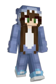 707x505 Minecraft avatar full body
