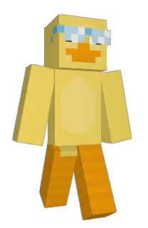 Front of Duckool's skin