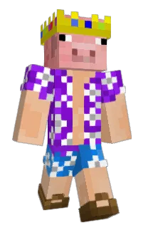 Front of imsooocool420's skin