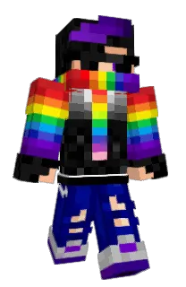 Front of PowerPunchh's skin