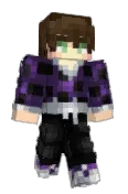 MrIcepack