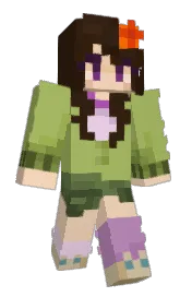 Skin preview