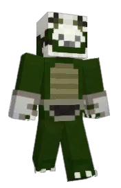 Skin preview
