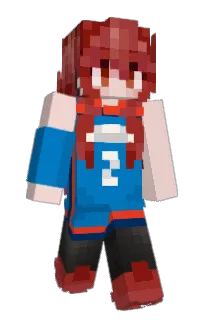 Front of Minecraft skin