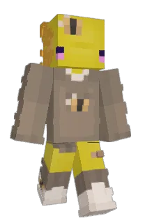 Front of SiloSight's skin