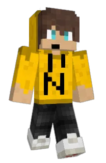 Front of Norlity's skin
