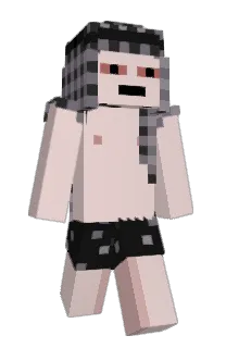 shwkvs's Minecraft skin