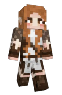 Front of Arcanaeum's skin