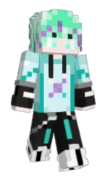 Minecraft skin — Classic model