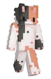 Rosy33456's Minecraft skin