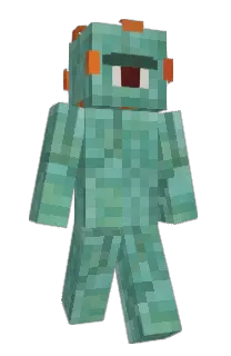 Front of guardiqn's skin