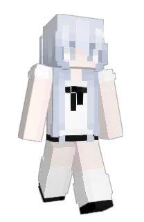 Front of Minecraft skin