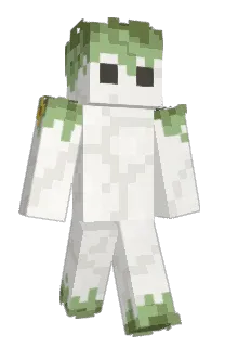 Front of Reavvr's skin