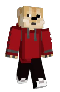 Front of Minecraft skin