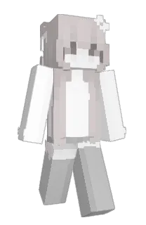 Front of Usebc's skin