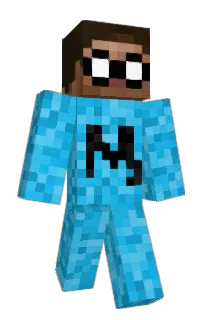 Front of FreeSheeps's skin