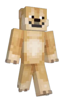 Front of Minecraft skin