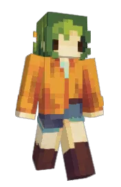 Skin preview