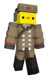 Skin preview