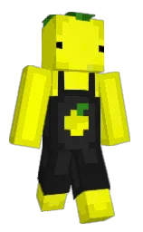 Minecraft skin — Classic model