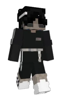 Front of Arwing_'s skin