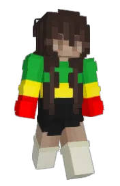 Skin preview