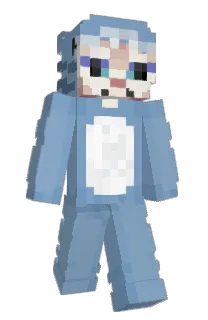 Front of Kroomie's skin