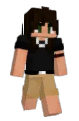 FlareKiwi