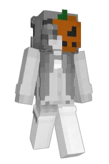 Minecraft-Avatar von 718923: ganzer Körper