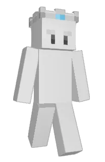 Front of s1llver's skin