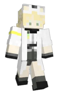 Nemlife's Minecraft skin