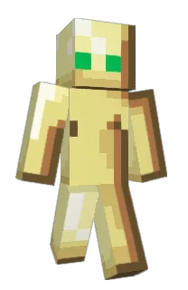 Front of TotemOfUndying's skin