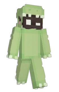 Front of TnTninja19352's skin