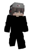 iVanishL_