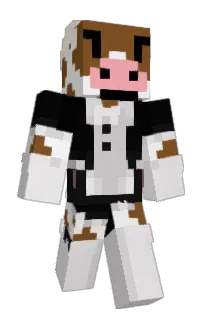 Noob_9207's Minecraft skin
