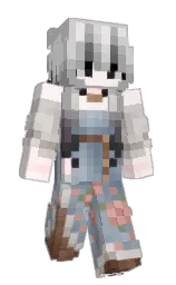 alto and regent gray Minecraft skin — Slim model — first worn by Noyayaaa