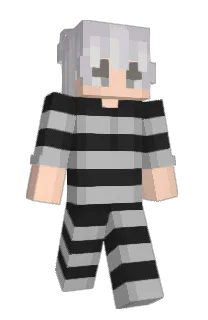Front of pracastop's skin