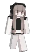 Torisanpoppo