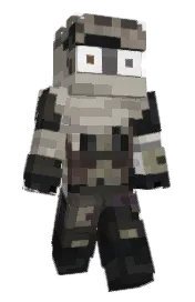 Skin preview