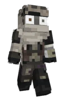 Front of alehc's skin