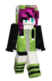 Skin preview