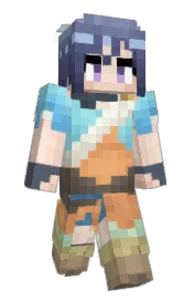 Skin preview