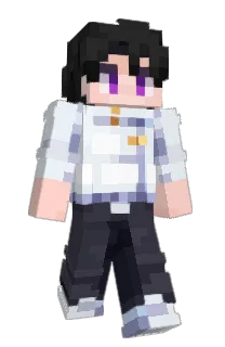 Front of integridade's skin