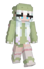 Skin preview