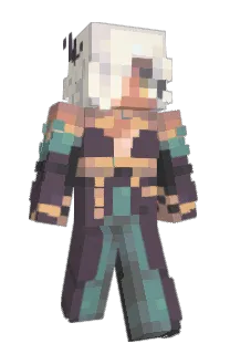 Front of salmonkarp's skin