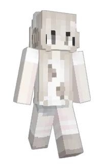 rqqse's Minecraft skin