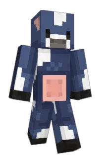 Front of 1pv's skin