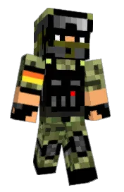 Skin preview