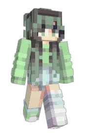 Skin preview